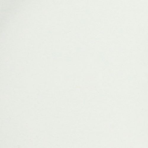 položky Tác s praktickými úchyty pro všestranné použití v domácnosti a gastronomii, 22 cm