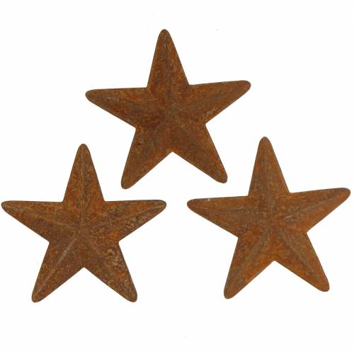 Floristik24 Hvězdicová patina kov 5cm 24 ks