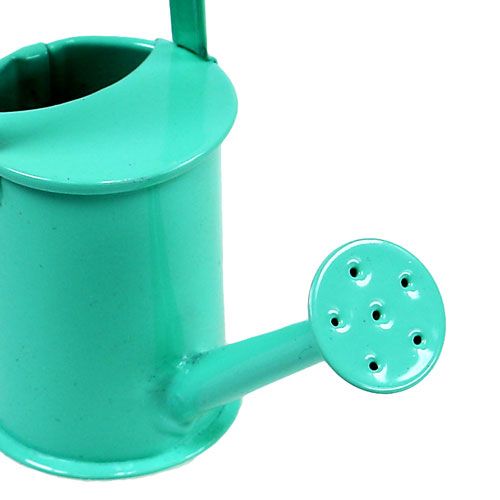 Floristik24 Mini konve pastel zadek. Ø4cm 12ks
