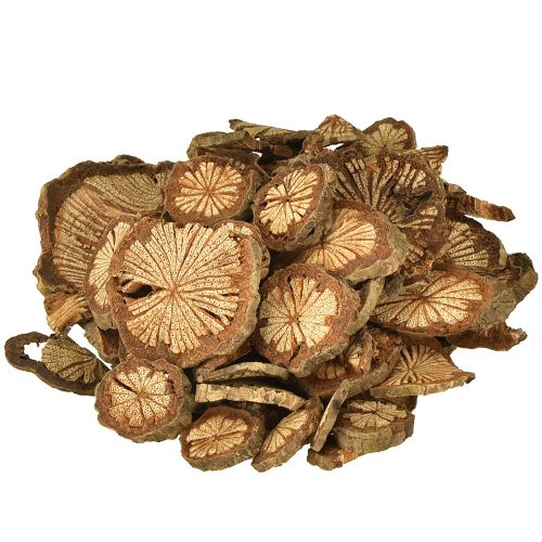 Mini dřevěné disky z betelových ořechů s zrnem 1-4,5 cm 300 g