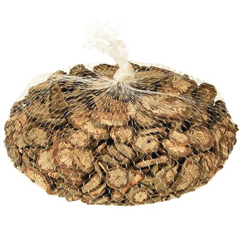 položky Mini dřevěné disky z betelových ořechů s zrnem 1-4,5 cm 300 g