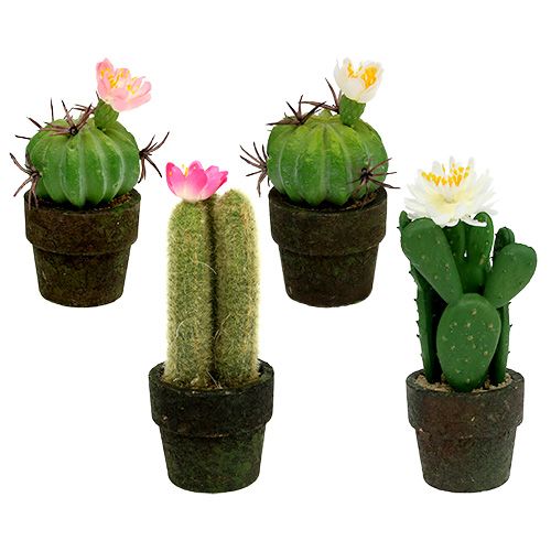Floristik24 Mini kaktus s květinami V9-12cm 4ks
