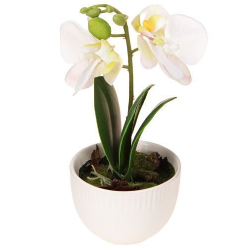 položky Mini orchidej umělé bílé orchideje v květináči 15cm