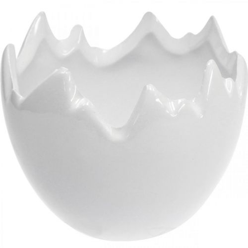 Floristik24 Mini květináč na rostliny skořápka bílá Ø8cm V7cm 4ks