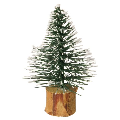 Floristik24 Mini jedle zasněžené zimní lesní Ø5cm V8cm 12 ks