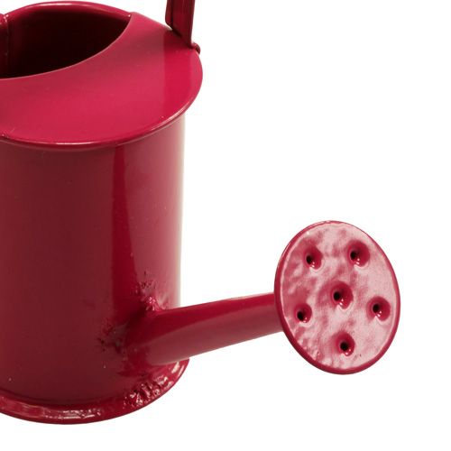 Floristik24 Mini konve růžové růžové Ø4cm 12ks