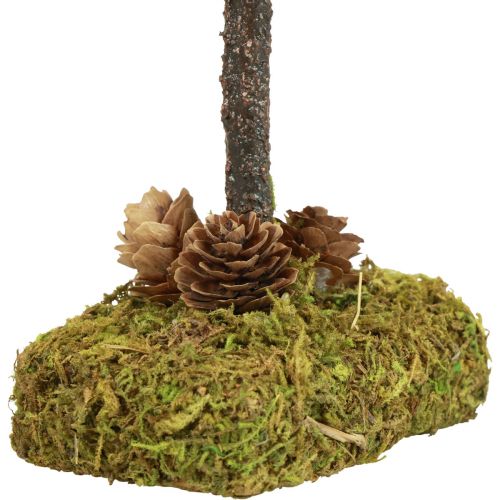 Floristik24 Mini vánoční dekorace na stůl mechový strom V30,5cm