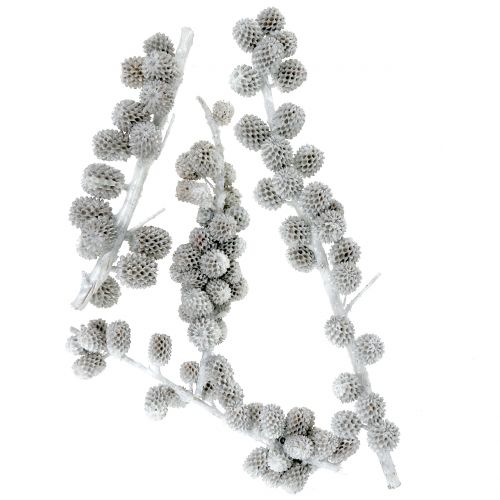 Šišky Casuarina na větvi bílo-šedé voskované 250g