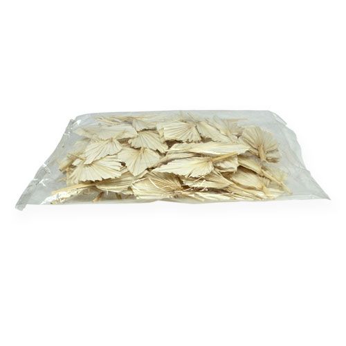 Floristik24 Palmové kopí mini krátké bělené 50 ks