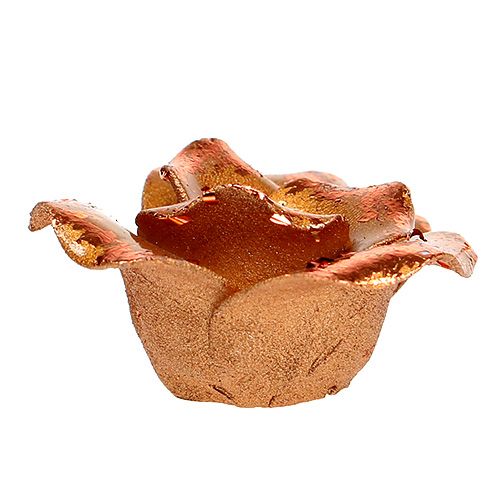 Floristik24 Mini růže měděné 4cm 8ks