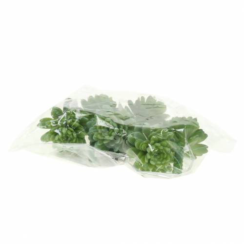 Floristik24 Mini - sukulentní 6,5cm 6ks