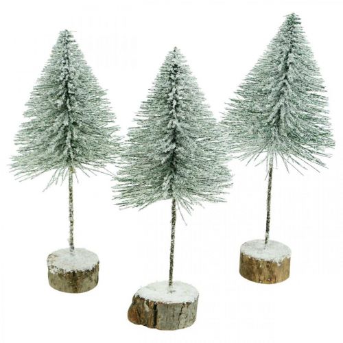 Floristik24 Dekorativní jedle, zimní dekorace, vánoční stromeček, advent H30 / 32cm Ø13,5cm sada 3 ks