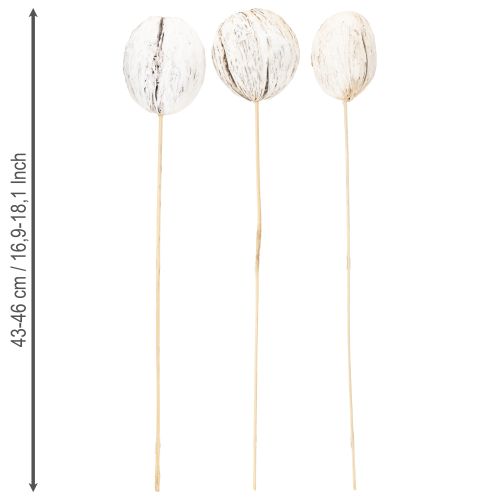 položky Mintolla kulička na tyčce mix nabílené 6 ks