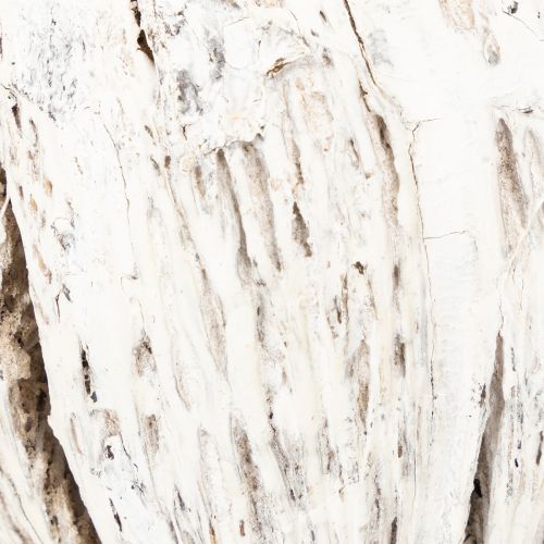 položky Mintolla kulička na tyčce mix nabílené 6 ks