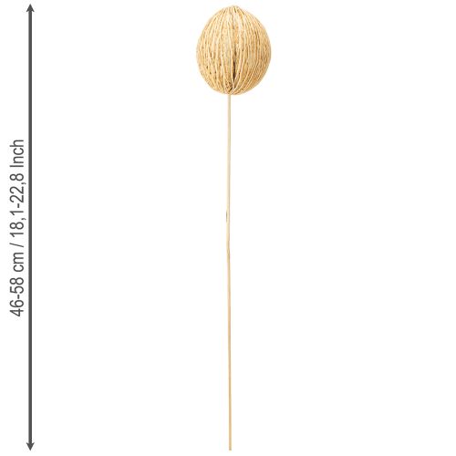 položky Mintolla kulička bělená 8cm - 10cm L46cm 6 ks