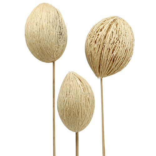 položky Mintolla kulička bělená 8cm - 10cm L46cm 6 ks