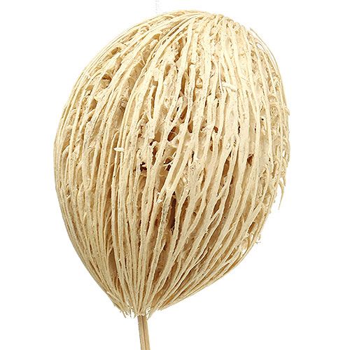 položky Mintolla kulička bělená 8cm - 10cm L46cm 6 ks