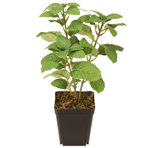 položky Máta v květináči Umělé bylinky Zelená rostlina H24cm