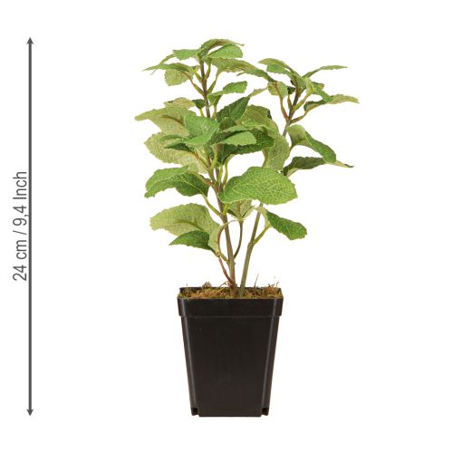 položky Máta v květináči Umělé bylinky Zelená rostlina H24cm