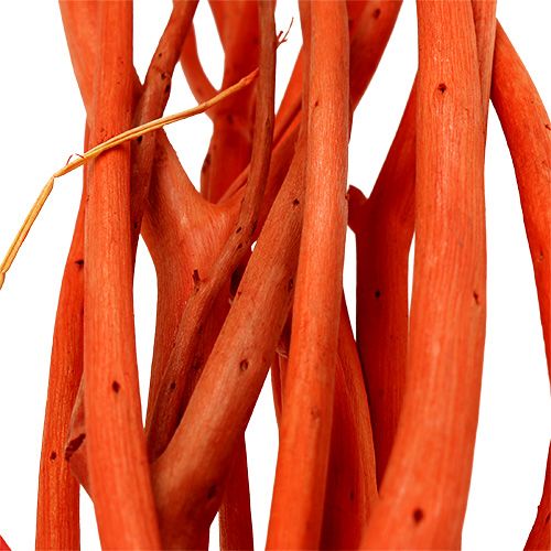 položky Mitsumata větve oranžové 34-60cm 12ks