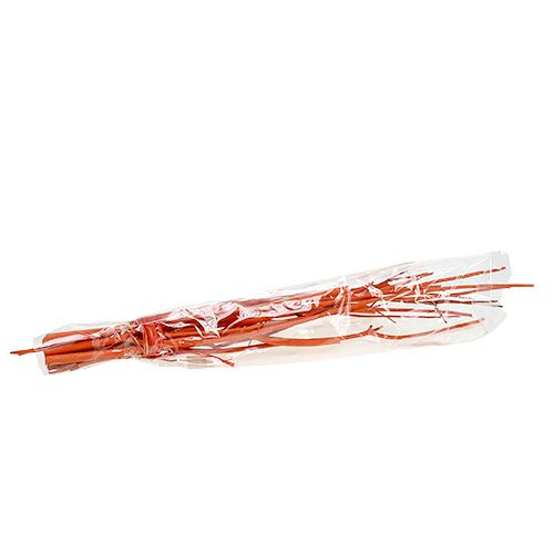 Floristik24 Mitsumata větve oranžové 34-60cm 12ks