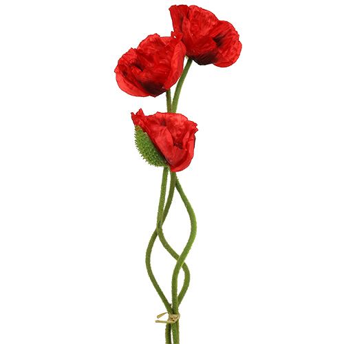 položky Mák červený 58cm - 74cm 3 ks