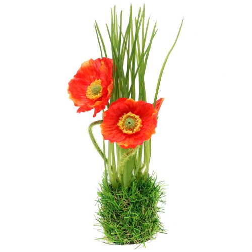 Vlčí mák v trávě 23cm