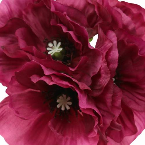 Floristik24 Makově fialová 29cm 6ks