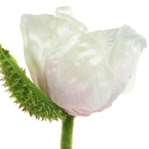 Floristik24 Umělý mák, hedvábný květ bílo-růžový L55/60/70cm sada 3 ks