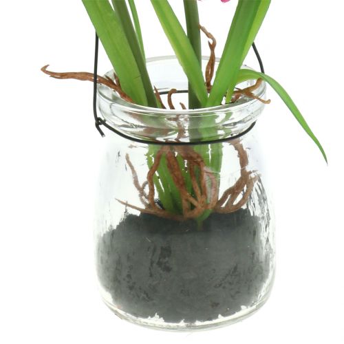 Floristik24 Mák ve sklenici k zavěšení růžový V22cm
