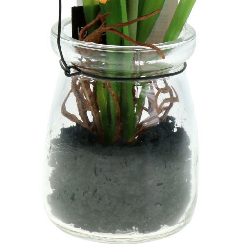 Floristik24 Maková oranžová ve sklenici na zavěšení V22cm