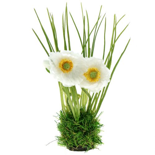 Mák bílý v trávě 23cm