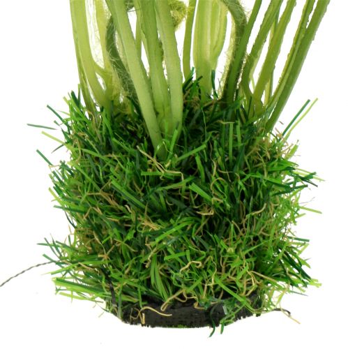 položky Mák bílý v trávě 23cm