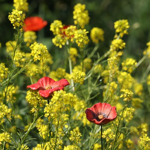 položky Keramický zahradní kolík s vlčím mákem, neobvyklý design pro záhony, 52 cm, 2 kusy