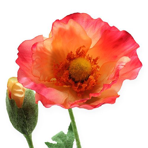Floristik24 Umělý mák růžový, žlutý 74cm