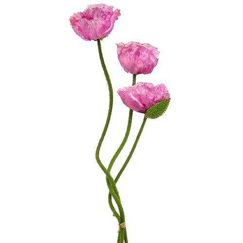 Floristik24 Vlčí máky 59cm - 75cm 3 ks