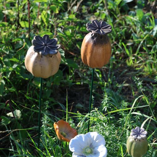 položky Zahradní kolík s makovým luskem - dekorativní prvek pro zahradní dekoraci a kutilské projekty - 41 cm, 4 kusy -