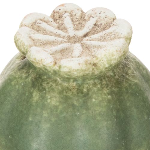 položky Dekorativní tyč z makových lusků pro sezónní eleganci zahrady nebo zvýraznění balkonu, 41 cm, 4 kusy