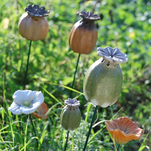 položky Zahradní dekorace z makových lusků pro okouzlující zahradní aranžmá 60 cm 2 ks