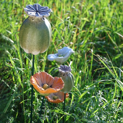 položky Zahradní dekorace z makových lusků pro okouzlující zahradní aranžmá 60 cm 2 ks