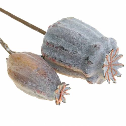 Floristik24 Umělý mák tobolky žluté, hnědé 6ks