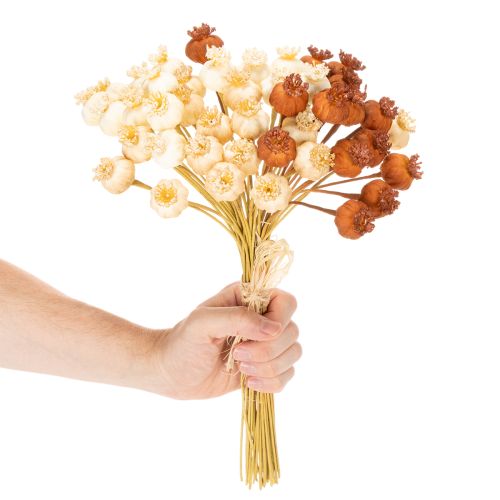 Sušené umělé lusky maku, kytice tří barev, 40 cm, 45 kusů | Floristik24.cz