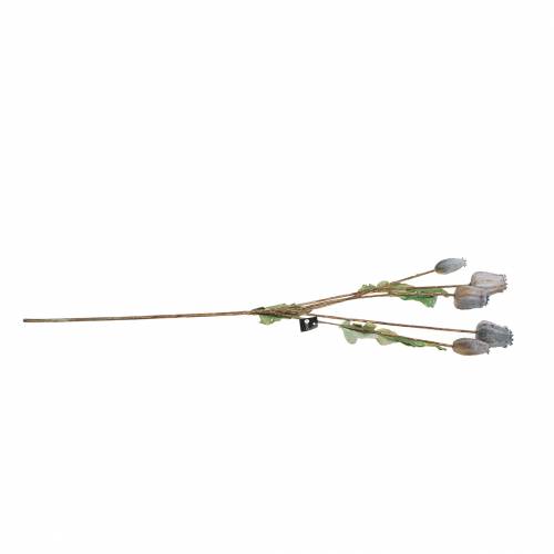 položky Umělé lusky máku žluté, hnědé V70cm