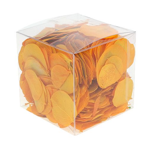 Floristik24 Moneta listy zlatožluté 50g