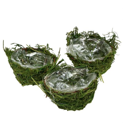 Floristik24 Mechová mísa zelená Ø11cm V6,5cm - 7,5cm 5ks