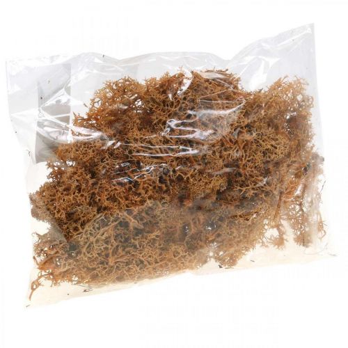 položky Dekorativní mech pro ruční práce Oranžový přírodní mech konzervovaný 40g