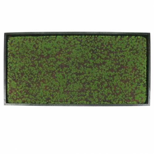 položky Nástěnná malba mech v zeleném rámu 60x30cm Nástěnná dekorace z mechu