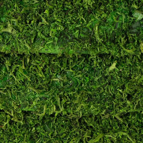 položky Dekorativní věnec z mechu pro sezónní aranžmá a individuální design, 15 cm, 6 kusů