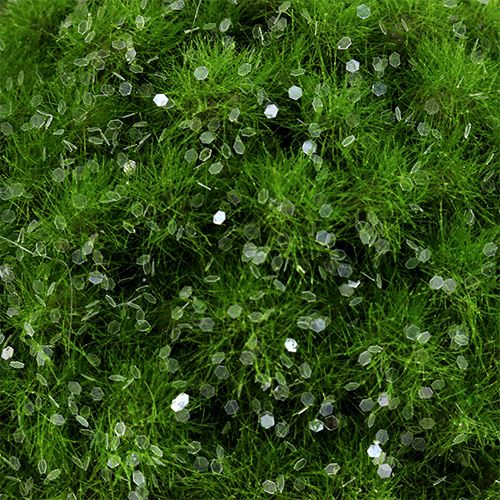 Floristik24 Mechová koule se slídou Ø9cm zelená