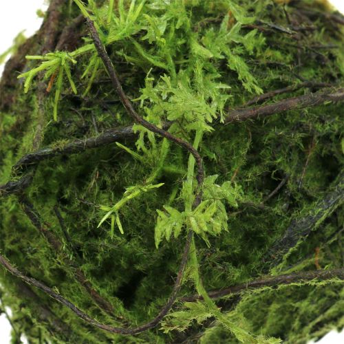 Floristik24 Mechová koule Kokedama umělá zelená Ø13cm